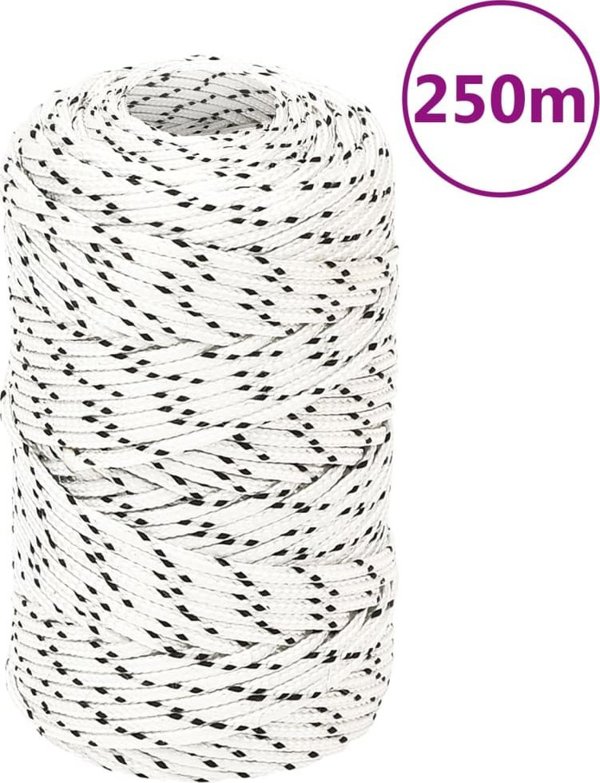 vidaXL Πλεχτό σχοινί ιστιοπλοΐας, λευκό, 2 χλστ. x 250 μ., πολυεστέρας
