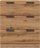 vidaXL Συρταριέρα artisan δρυς 60x30x70cm
