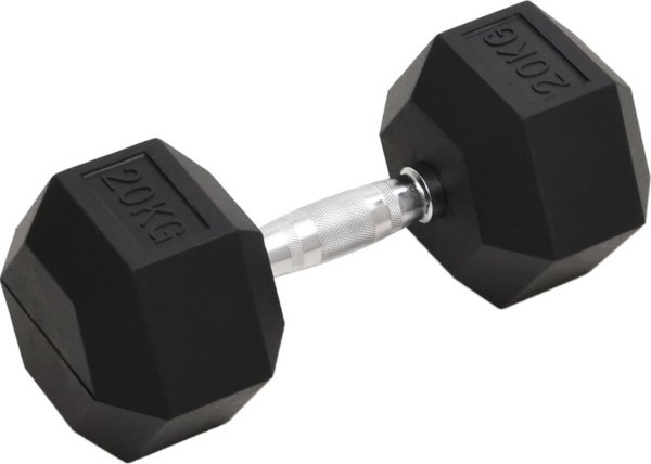 vidaXL Hantel, 20 kg, zelazo