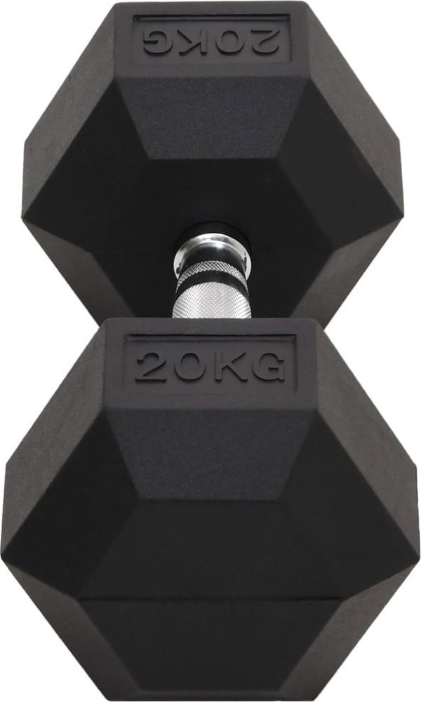 vidaXL Hantel, 20 kg, zelazo