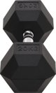vidaXL Hantel, 20 kg, zelazo