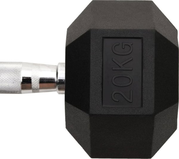 vidaXL Hantel, 20 kg, zelazo