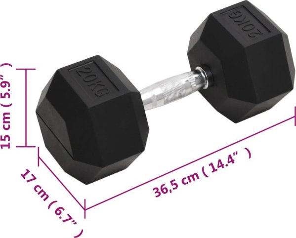 vidaXL Hantel, 20 kg, zelazo