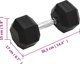 vidaXL Hantel, 20 kg, zelazo