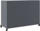vidaXL Szafka, antracytowa, 100,5x39x72 cm, stal