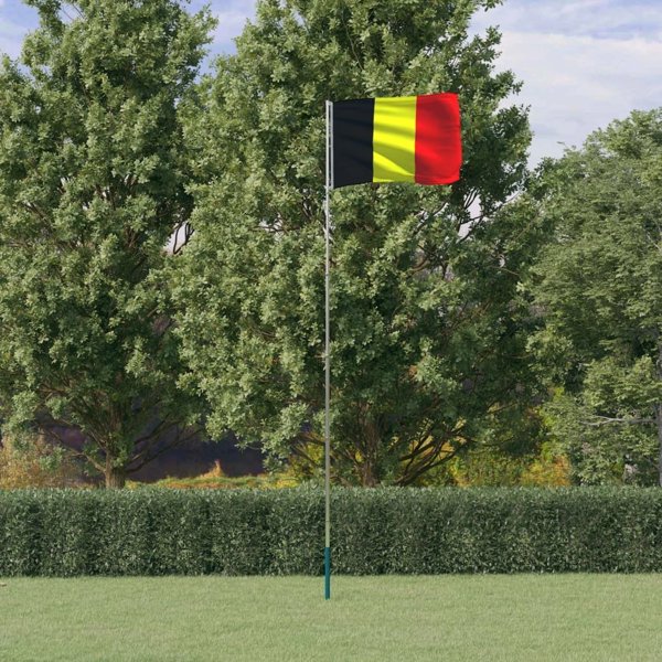 vidaXL vidaXL Flaga Belgii z masztem, 5,55 m, aluminium