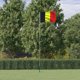 vidaXL vidaXL Flaga Belgii z masztem, 5,55 m, aluminium
