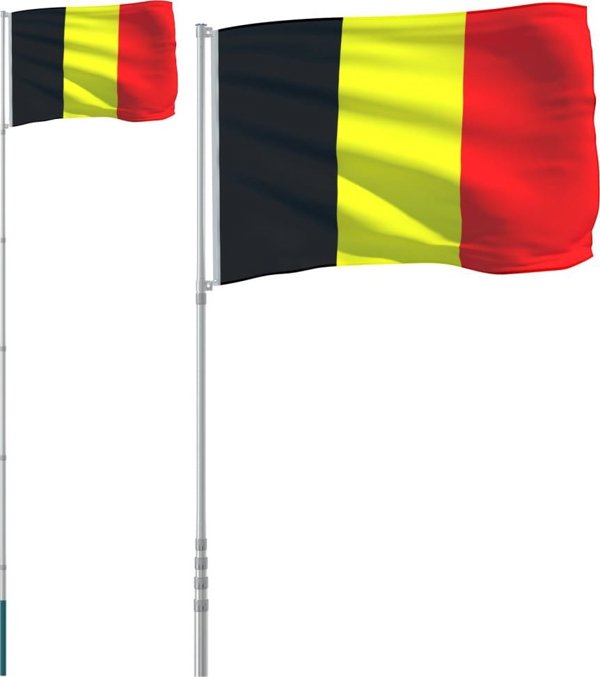 vidaXL vidaXL Flaga Belgii z masztem, 5,55 m, aluminium