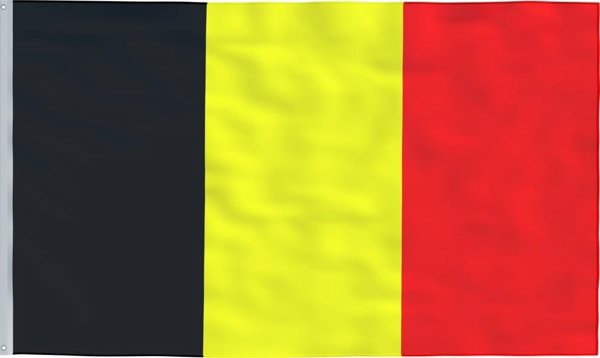 vidaXL vidaXL Flaga Belgii z masztem, 5,55 m, aluminium