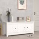 vidaXL Ντουλάπα παπουτσιών, λευκή, 110x38x45,5 cm, μασίφ πεύκο