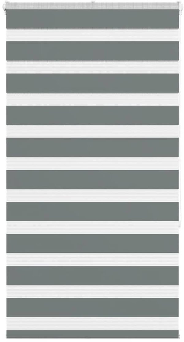 Ρολό Zebra vidaXL Σκούρο Γκρι Πολυεστέρας