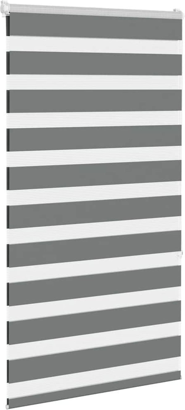 Ρολό Zebra vidaXL Σκούρο Γκρι Πολυεστέρας