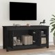 vidaXL Szafka pod telewizor, czarna, 103x36,5x52 cm, drewno sosnowe