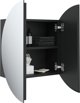 vidaXL Ντουλάπι Μπάνιου με Καθρέφτη και LED, Μαύρο, 40x40x17,5 cm