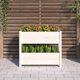 vidaXL Donica λευκή 77x25x66 cm από μασίφ πεύκο