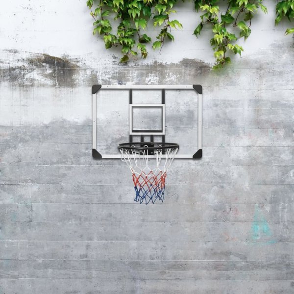 vidaXL Diafanos tamplo me kalathi gia mparks basketball 90x60x2.5 cm
