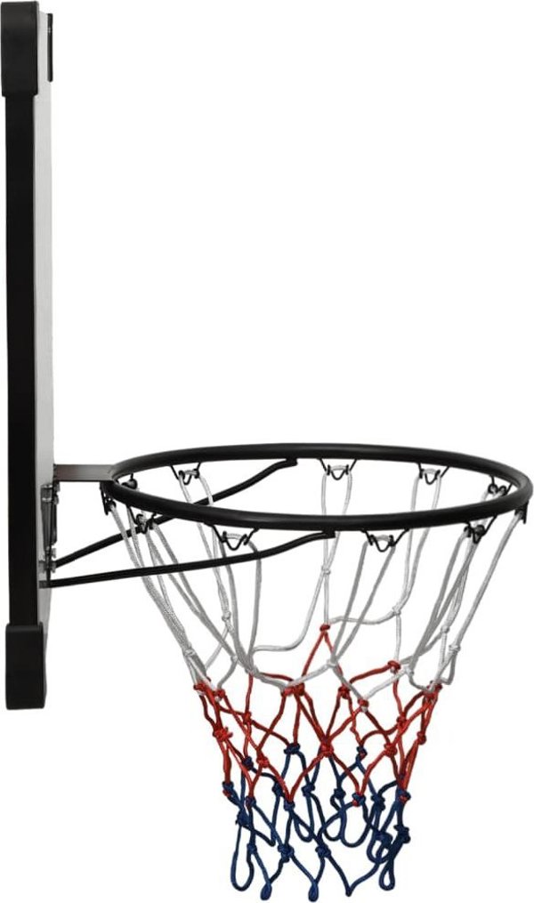 vidaXL Diafanos tamplo me kalathi gia mparks basketball 90x60x2.5 cm