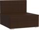 vidaXL Μεσαίος καναπές με μαξιλάρια καφέ PE ράταν