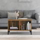 vidaXL Τραπέζι καφέ, καπνιστό ντόμπ, 60x50x36,5 εκ.