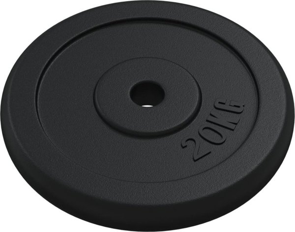 vidaXL Βάρος 20 kg, από χυτοσίδηρο