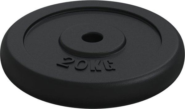 vidaXL Βάρος 20 kg, από χυτοσίδηρο