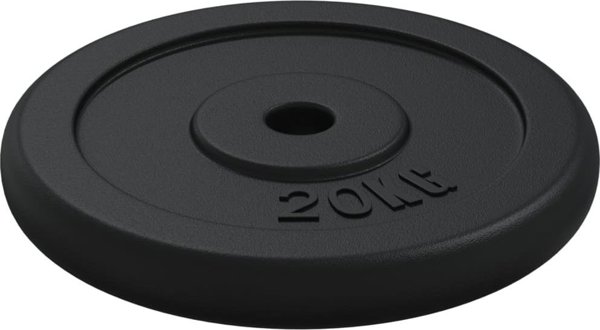 vidaXL Βάρος 20 kg, από χυτοσίδηρο