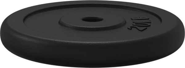 vidaXL Βάρος 20 kg, από χυτοσίδηρο