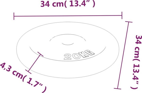 vidaXL Βάρος 20 kg, από χυτοσίδηρο