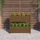 vidaXL Donica μελιτζανί 77x25x66 cm από μασίφ πεύκο