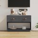 vidaXL vidaXL Szafka pod telewizor, szara, 90x40x60 cm, lite drewno sosnowe