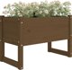 vidaXL Donica, μέλι καφέ, 78x40x52 εκ, μασίφ πεύκο