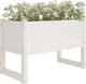 vidaXL Γλάστρα, Άσπρη, 78x40x52 εκ., από Στερεό Ανοιχτόπευκο Ξύλο