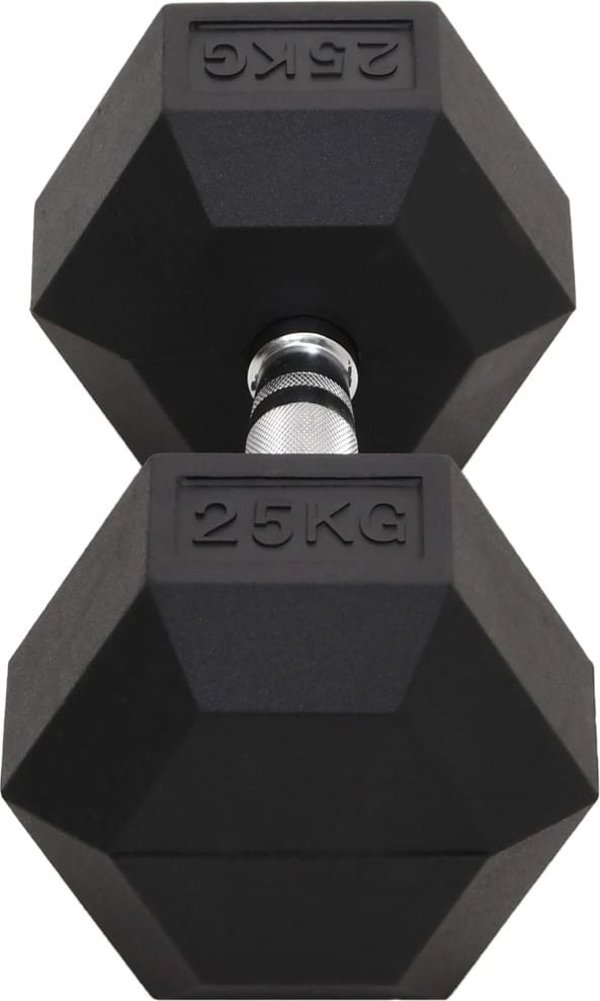 vidaXL Αλτήρας, 25 kg, χυτοσίδηρος