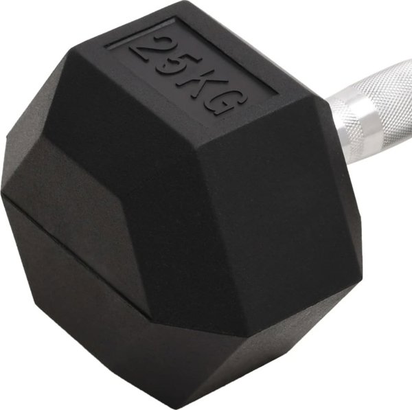 vidaXL Αλτήρας, 25 kg, χυτοσίδηρος