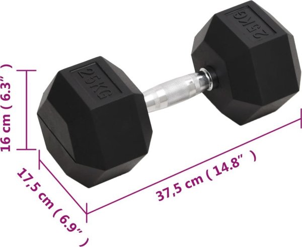 vidaXL Αλτήρας, 25 kg, χυτοσίδηρος