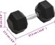 vidaXL Αλτήρας, 25 kg, χυτοσίδηρος