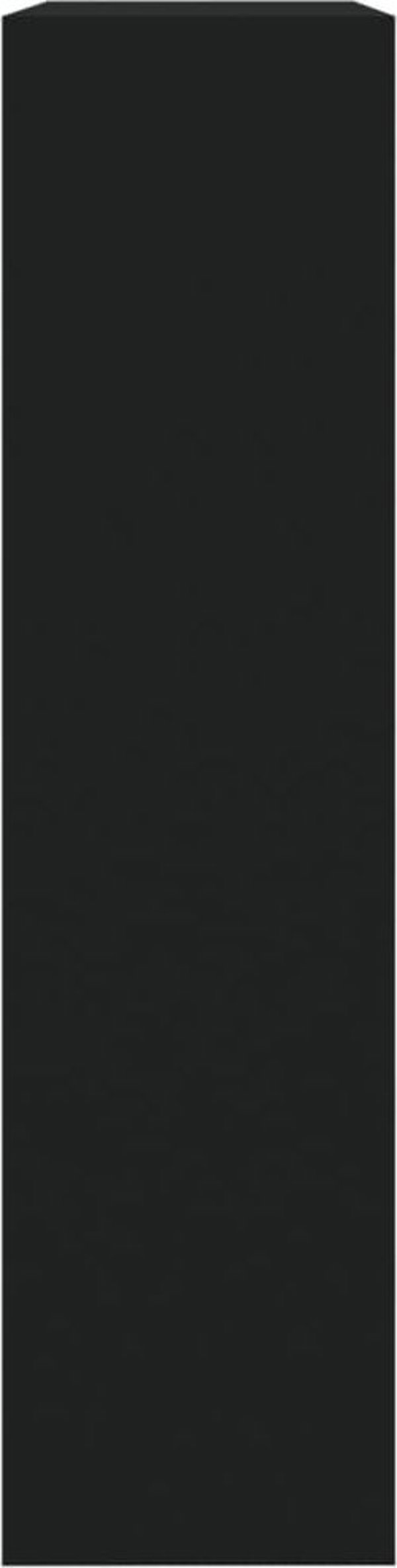 vidaXL vidaXL Szafka na buty z lustrem i 2 szufladami, czarna, 63x17x67 cm