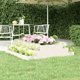 vidaXL Donica λευκή 110x110x27 cm από οξυά ξύλο