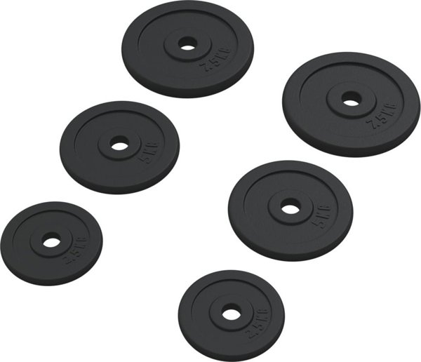 vidaXL Ciezarki zelazne 6 sztuk 30 kg