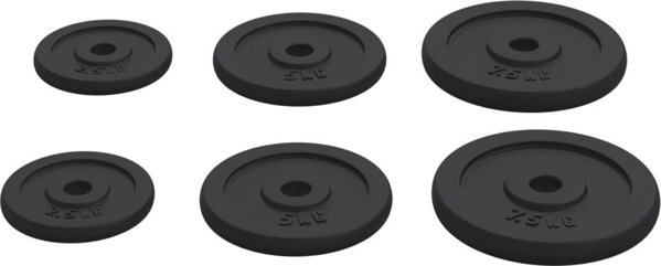 vidaXL Ciezarki zelazne 6 sztuk 30 kg