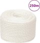 vidaXL Εργαλειακό Σκοινί, λευκό, 12 mm, 250 m, πολυπροπυλένιο