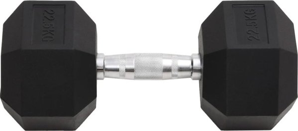 vidaXL Αλτήρας 22,5 kg από χυτοσίδηρο