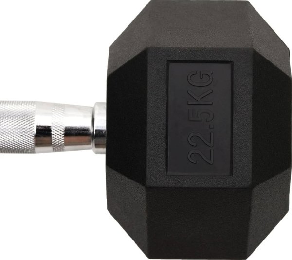 vidaXL Αλτήρας 22,5 kg από χυτοσίδηρο