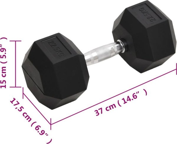 vidaXL Αλτήρας 22,5 kg από χυτοσίδηρο