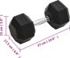 vidaXL Αλτήρας 22,5 kg από χυτοσίδηρο