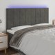 vidaXL Κεφαλάρι κρεβατιού με LED, σκουρόγκρι, 160x5x118/128 εκ., βελούδο