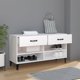vidaXL Szafka na buty, λευκή, 102x35x55 εκ., συνθετικό ξύλο
