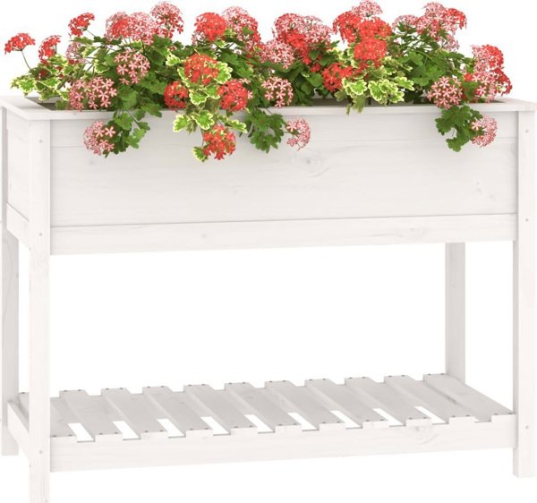 vidaXL Donica z polka biala 111,5x54x81 cm lite drewno sosnowe