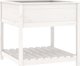 vidaXL Ζαρντινιέρα με ραφιέρα, λευκή, 82,5x82,5x81 εκ., μασίφ πεύκο