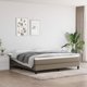 vidaXL vidaXL Materac kieszeniowy, kolor taupe, 160x200x20 cm, tkanina